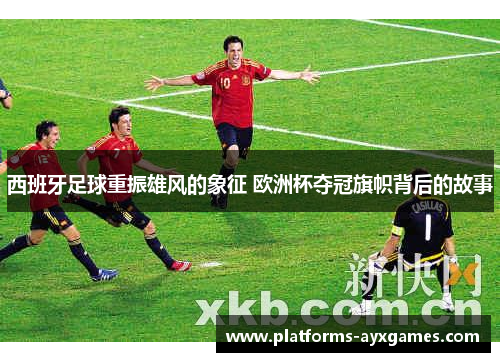 西班牙足球重振雄风的象征 欧洲杯夺冠旗帜背后的故事