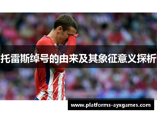 托雷斯绰号的由来及其象征意义探析 托雷斯绰号的由来及其象征意义探析