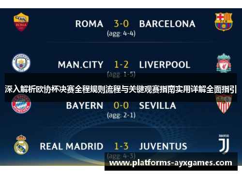 深入解析欧协杯决赛全程规则流程与关键观赛指南实用详解全面指引