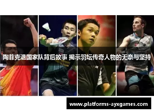陶菲克退国家队背后故事 揭示羽坛传奇人物的无奈与坚持 陶菲克退国家队背后故事 揭示羽坛传奇人物的无奈与坚持