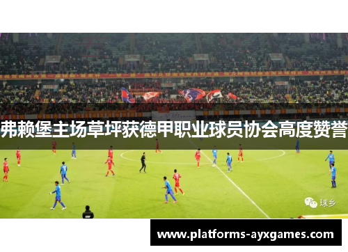 弗赖堡主场草坪获德甲职业球员协会高度赞誉