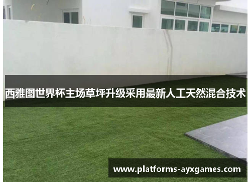西雅图世界杯主场草坪升级采用最新人工天然混合技术 西雅图世界杯主场草坪升级采用最新人工天然混合技术